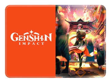 Обложка для паспорта Genshin impact [P_GenIm_006S]