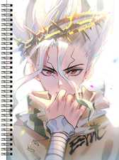 Блокнот А5 Dr. Stone [BL5_DrSt_011S]