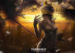 Плакат A3 DuRarara [3A_Dur_001S]