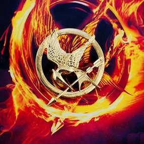 The Hunger Games brooch Голодные игры брошь