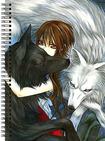 Блокнот А6 Vampire Knight [BL6_VamK_416S]