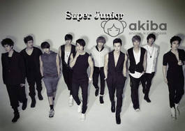 Плакат A3 Super Junior [3AKp_SJ_100S]