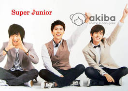 Плакат A3 Super Junior [3AKp_SJ_101S]