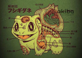 Плакат A3 Pokemons [3A_Pkmns_070S]