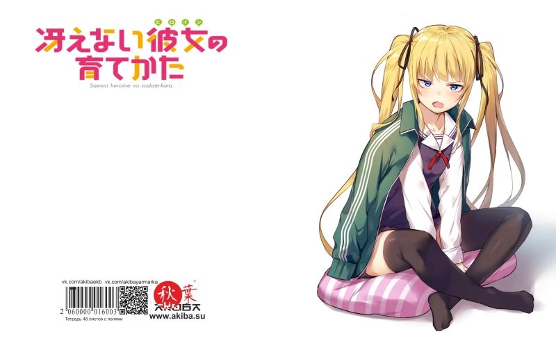 Тетрадь 48 листов в клетку Saenai Heroine no Sodatekata [T_SHnS_003S]