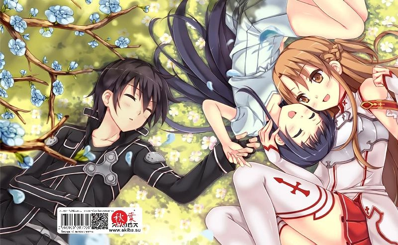 Тетрадь 48 листов в клетку Sword Art Online [T_SAO_022S]