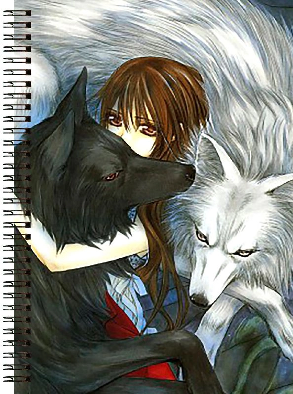 Блокнот А6 Vampire Knight [BL6_VamK_416S]