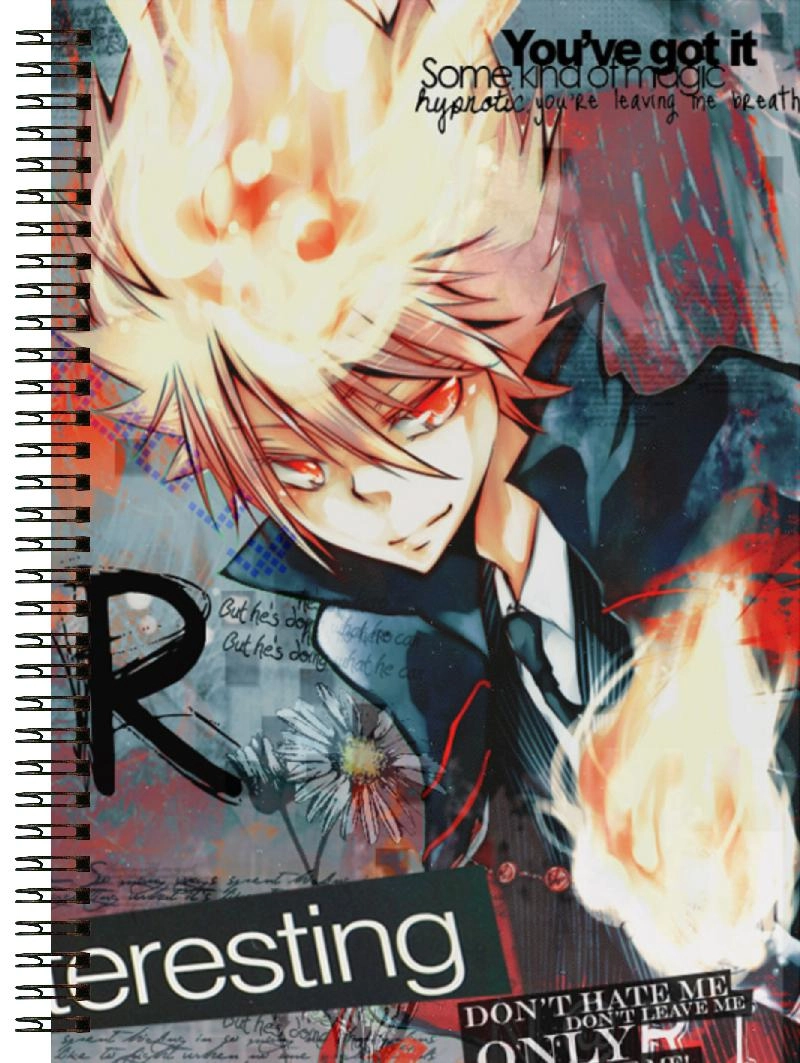 Блокнот А5 Hitman Reborn [BL5_Reb_216S]