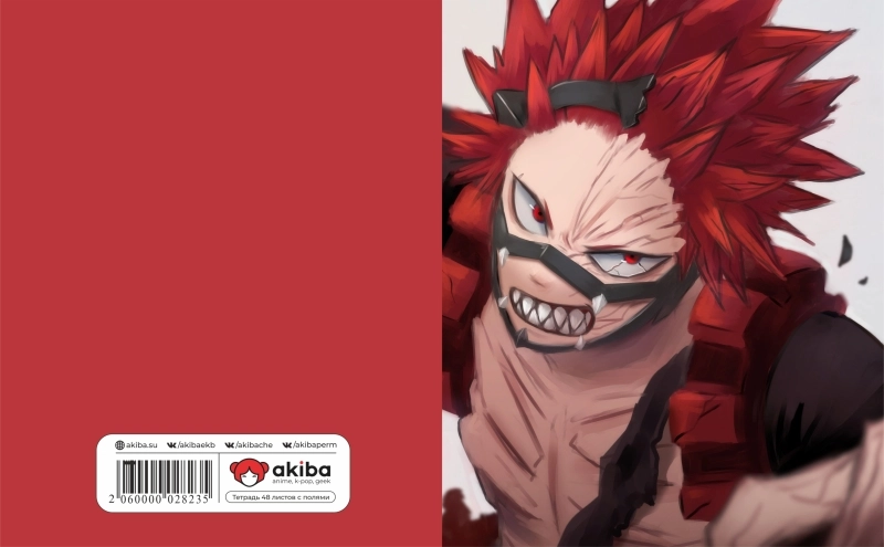 Тетрадь 48 листов в клетку Boku no Hero Academia [T_HeAc_076S]