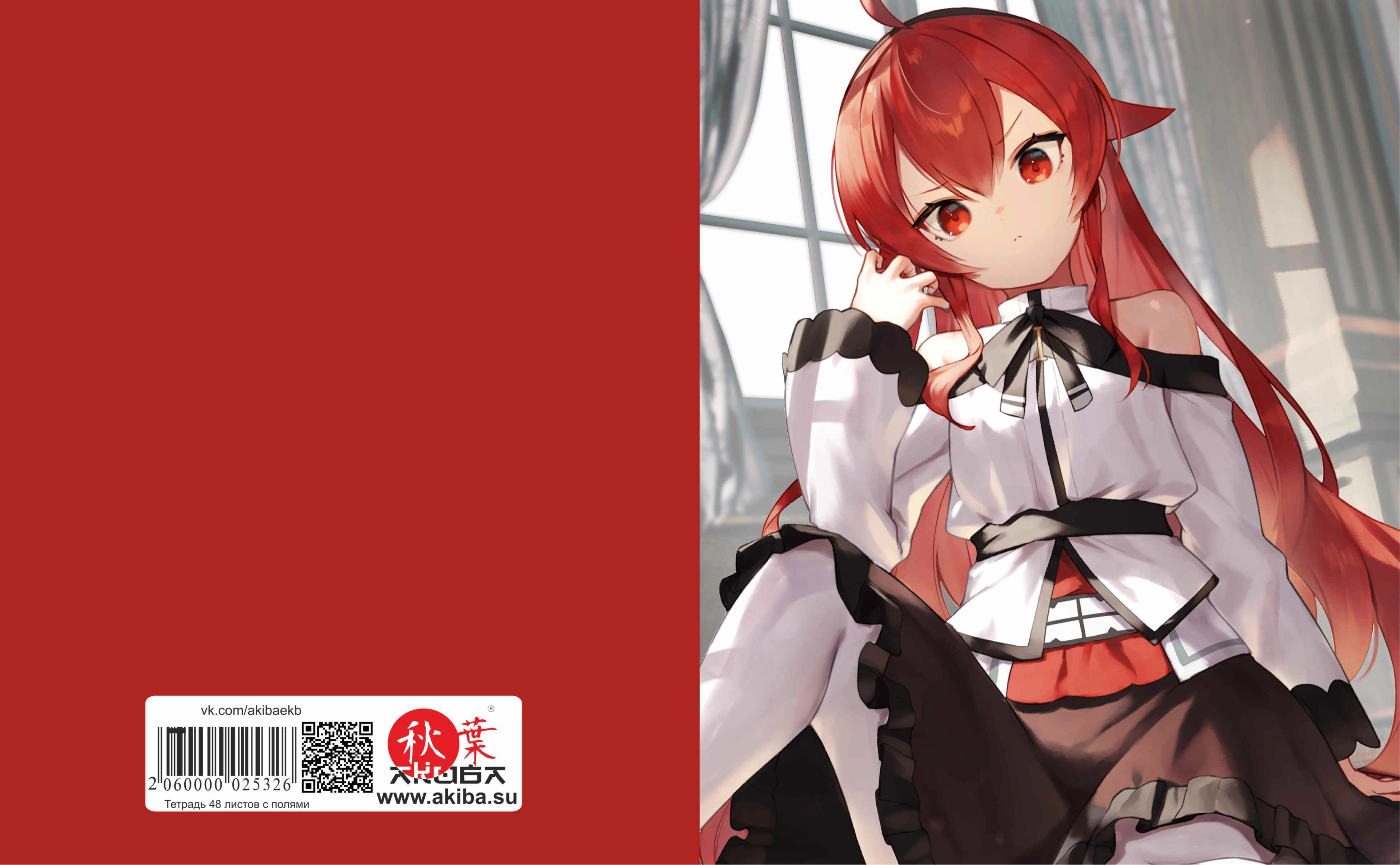 Тетрадь 48 листов в клетку Mushoku Tensei [T_MuTen_001S]