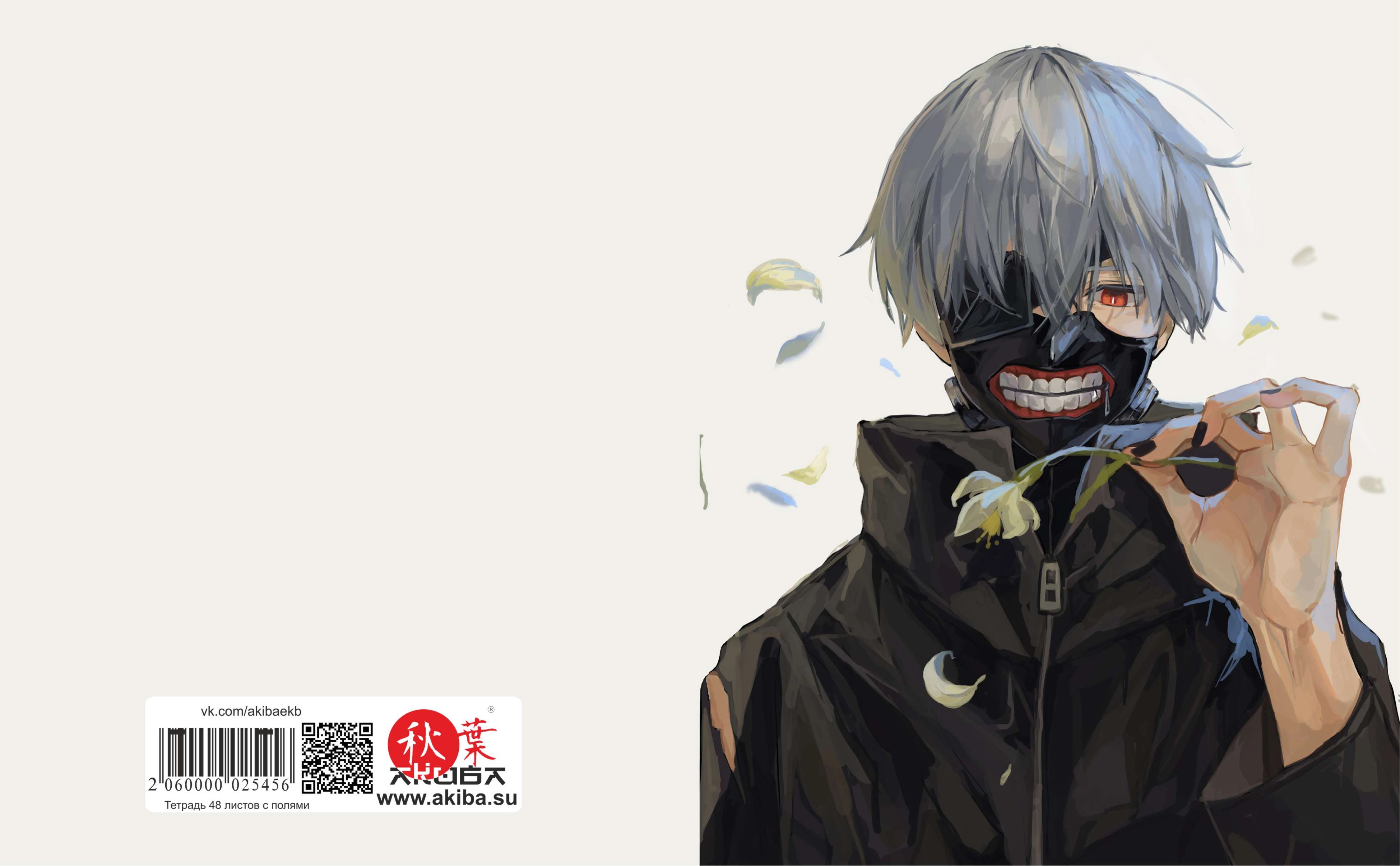 Тетрадь 48 листов в клетку Tokyo Ghoul [T_TokG_031S]