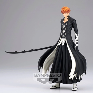 Solid and Souls Kurosaki Ichigo