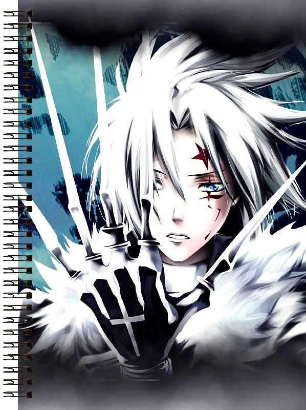 Блокнот А5 D. Gray Man [BL5_DGM_003S]