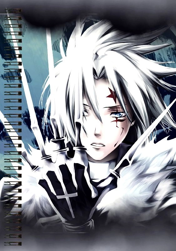 Блокнот А5 D. Gray Man [BL5_DGM_004S]