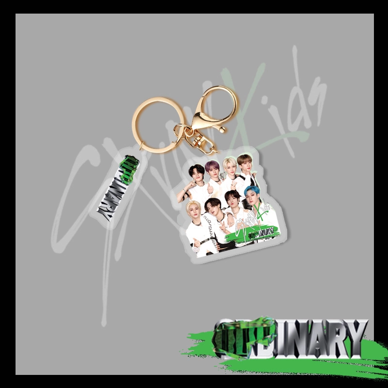 Stray kids Oddinary keychain брелок 1