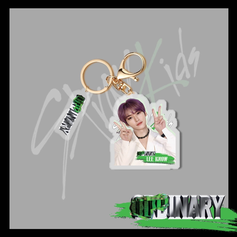 Stray kids Oddinary keychain брелок 4