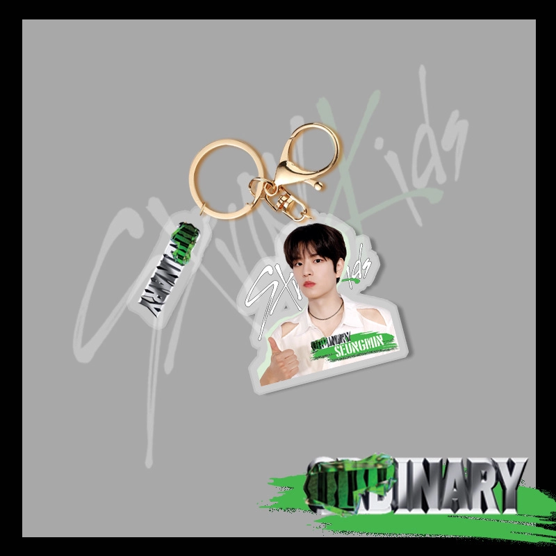 Stray kids Oddinary keychain брелок 7