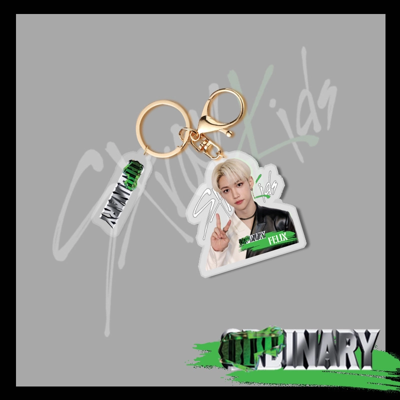 Stray kids Oddinary keychain брелок 9