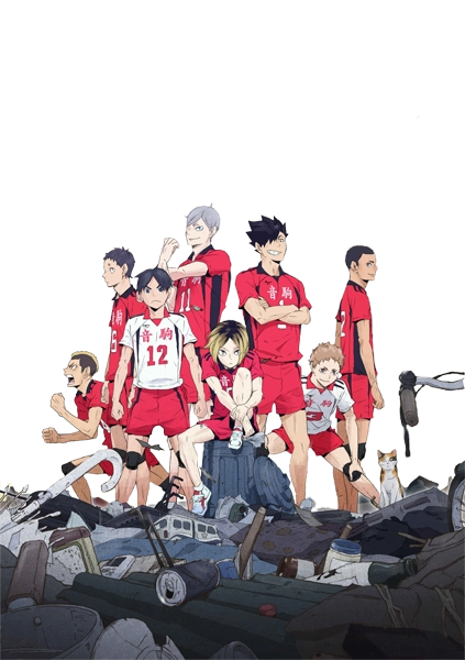 Стенд Haikyuu Волейбол 