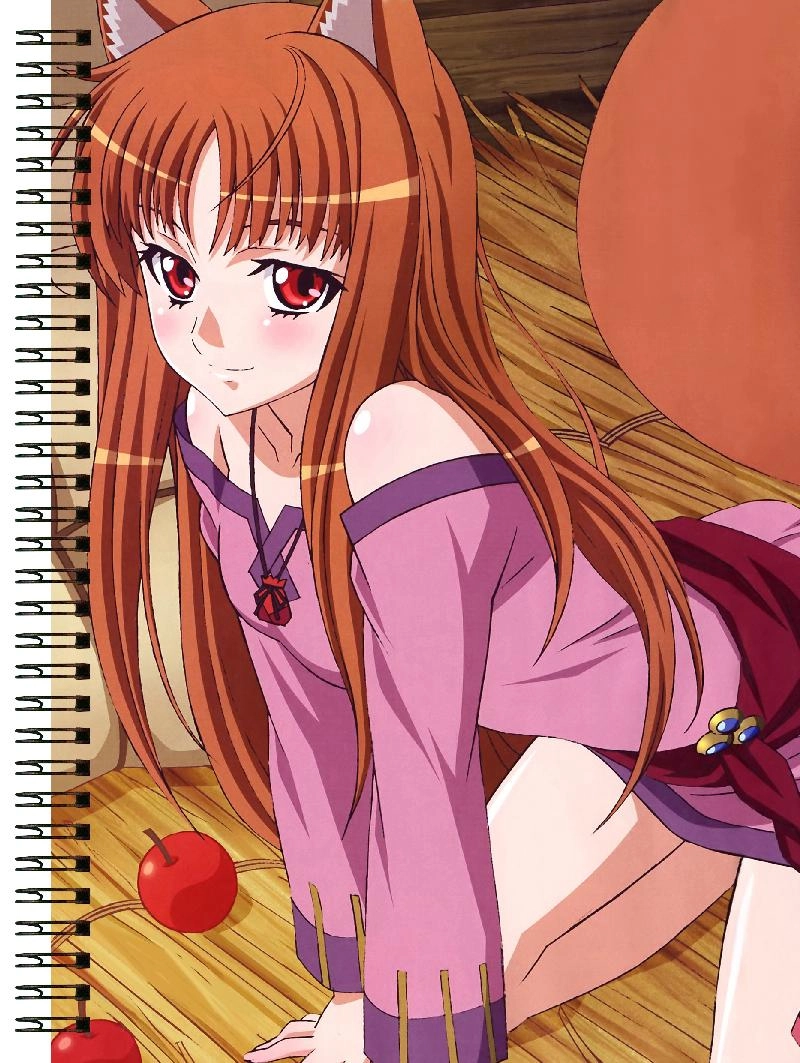 Блокнот А5 Spice and Wolf [BL5_SpWo_389S]