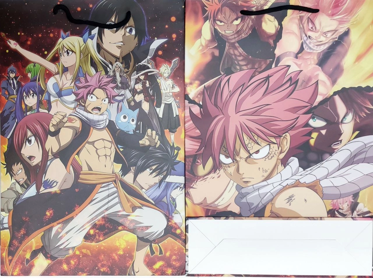 Fairy Tail Хвост феи подарочный пакет 1