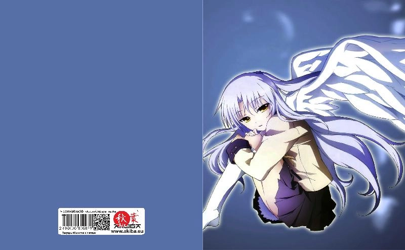 Тетрадь 48 листов в клетку Angel Beats [T_AB_007S]