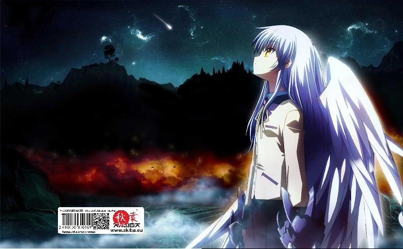 Тетрадь 48 листов в клетку Angel Beats [T_AB_010S]