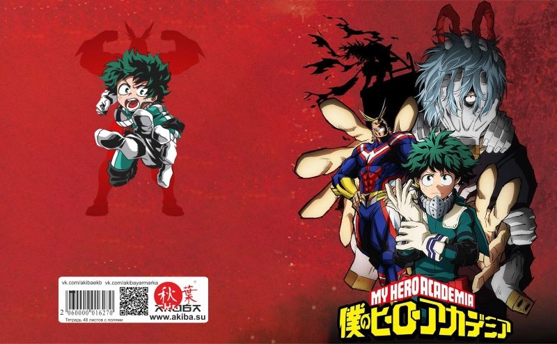 Тетрадь 48 листов в клетку Boku no Hero Academia [T_HeAc_008S]