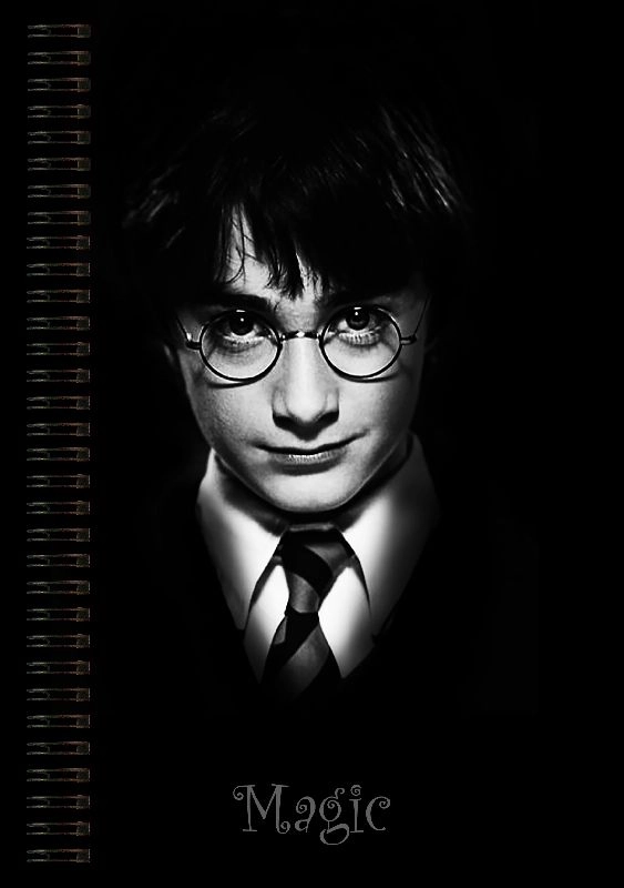 Блокнот А5 Harry Potter [BL5_HP_004S]