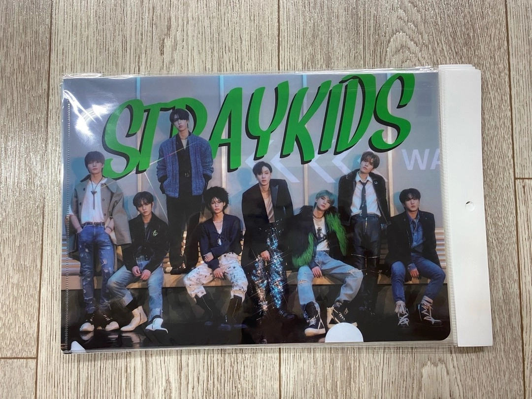 Папка А4 Stray kids