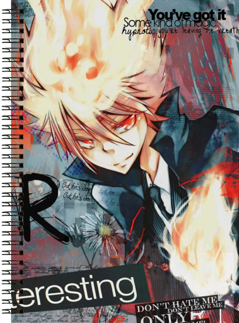 Блокнот А6 Hitman Reborn [BL6_Reb_216S]