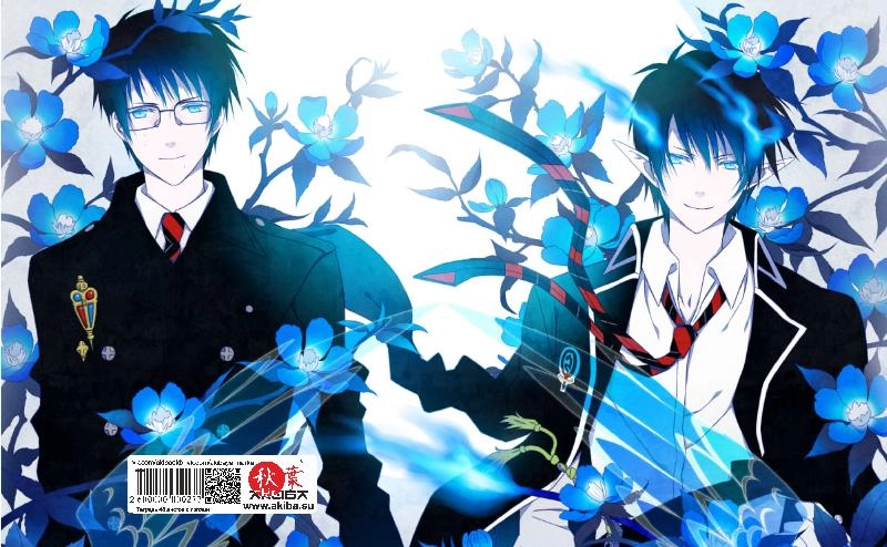 Тетрадь 48 листов в клетку Ao no Exorcist [T_Aon_001S]