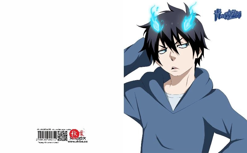 Тетрадь 48 листов в клетку Ao no Exorcist [T_Aon_009S]