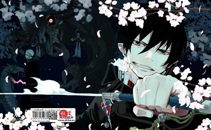 Тетрадь 48 листов в клетку Ao no Exorcist [T_Aon_010S]