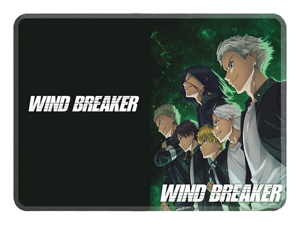 Обложка для паспорта Wind Breaker [P_WB_001S]