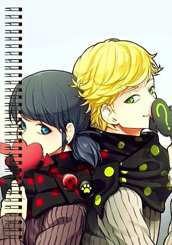 Блокнот А5 Tales of Ladybug and Cat Noir [BL5_TLCN_001S]