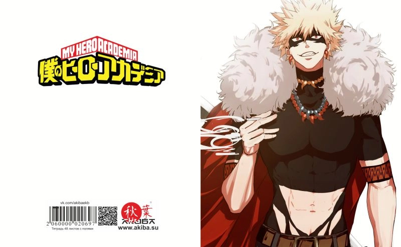 Тетрадь 48 листов в клетку Boku no Hero Academia [T_HeAc_018S]