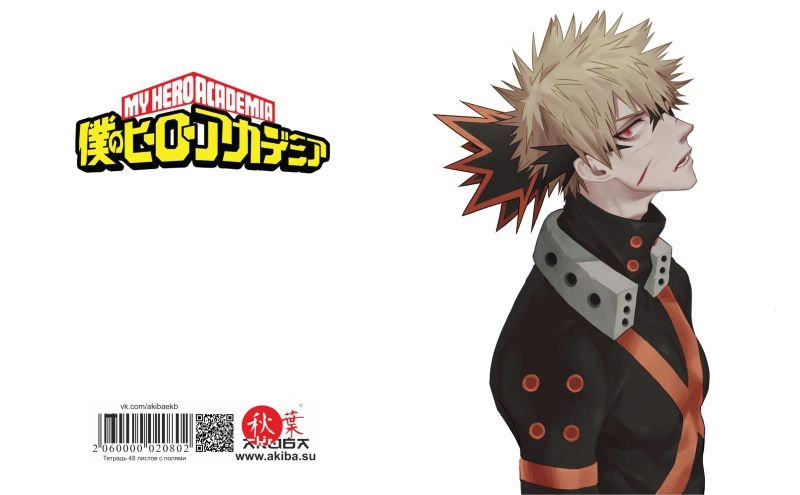 Тетрадь 48 листов в клетку Boku no Hero Academia [T_HeAc_029S]