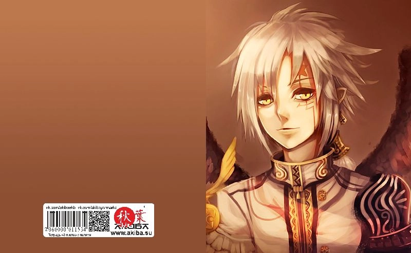 Тетрадь 48 листов в клетку D.Gray Man [T_DGM_010S]