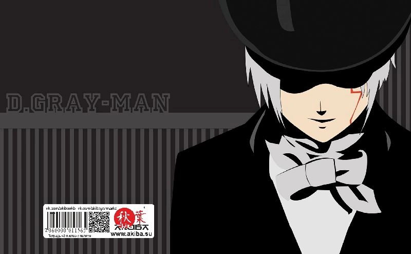 Тетрадь 48 листов в клетку D.Gray Man [T_DGM_013S]