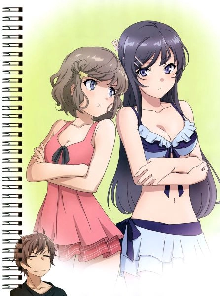 Блокнот А6 Seishun Buta Yarou wa Bunny Girl Senpai [BL6_SBYBGS_010S]