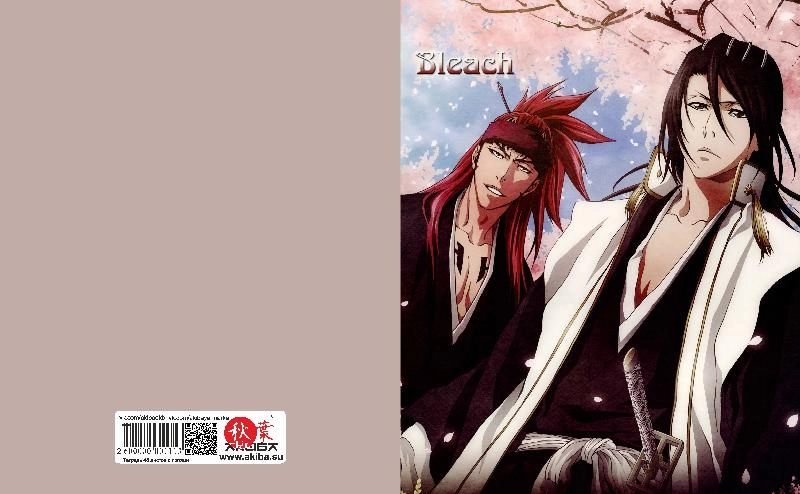 Тетрадь 48 листов в клетку Bleach [T_Bleach_013S]