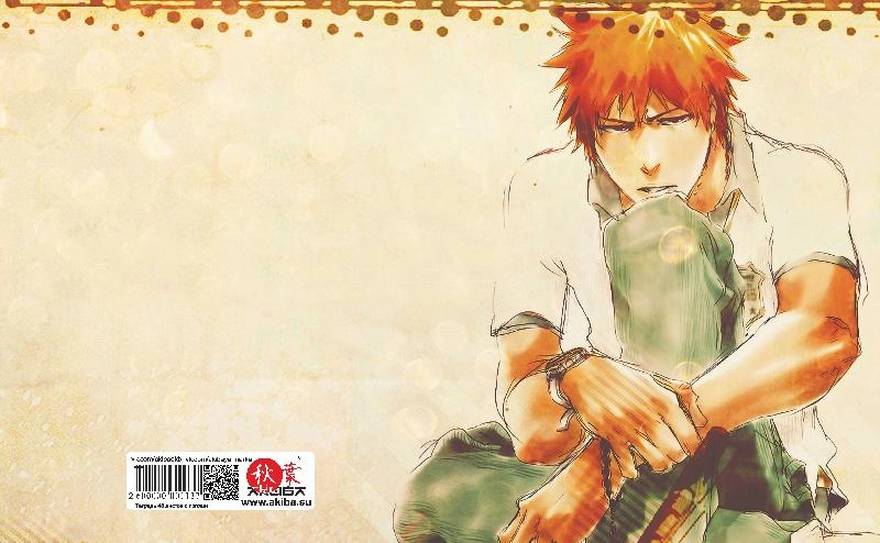 Тетрадь 48 листов в клетку Bleach [T_Bleach_015S]