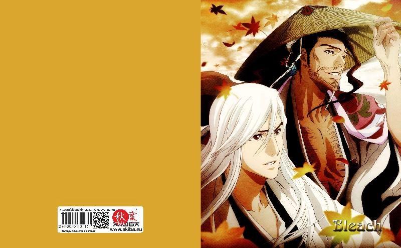 Тетрадь 48 листов в клетку Bleach [T_Bleach_017S]