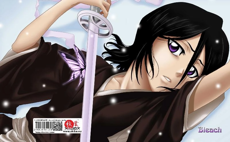 Тетрадь 48 листов в клетку Bleach [T_Bleach_027S]