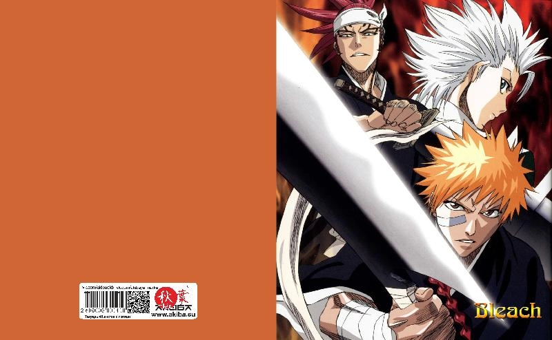 Тетрадь 48 листов в клетку Bleach [T_Bleach_043S]