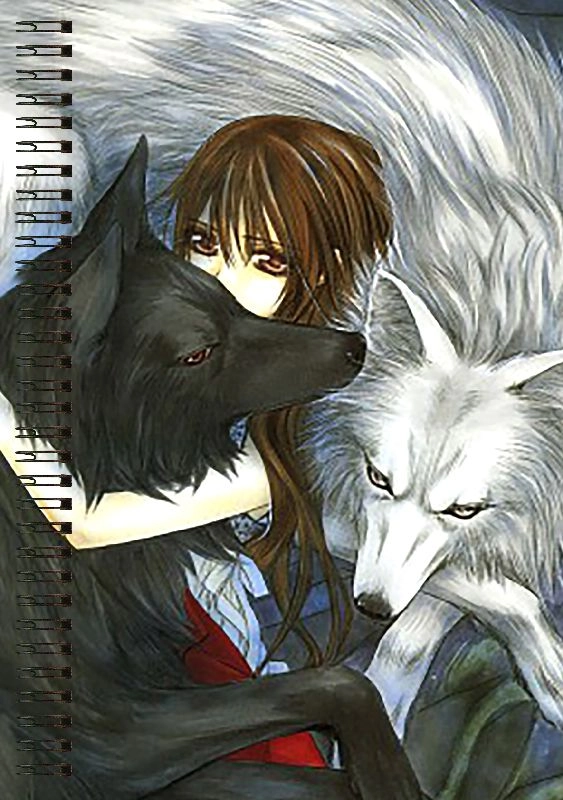 Блокнот А5 Vampire Knight [BL5_VamK_416S]