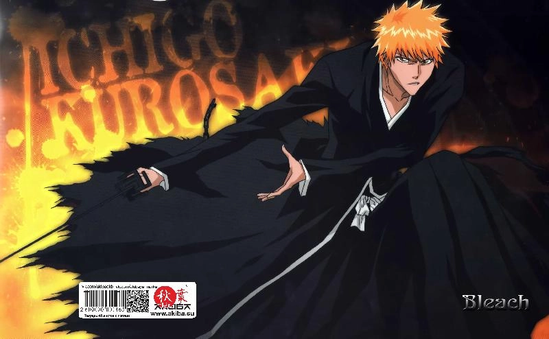 Тетрадь 48 листов в клетку Bleach [T_Bleach_048S]