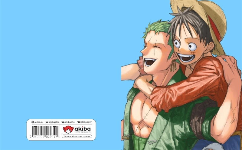 Тетрадь 48 листов в клетку One Piece [T_OnP_035S]