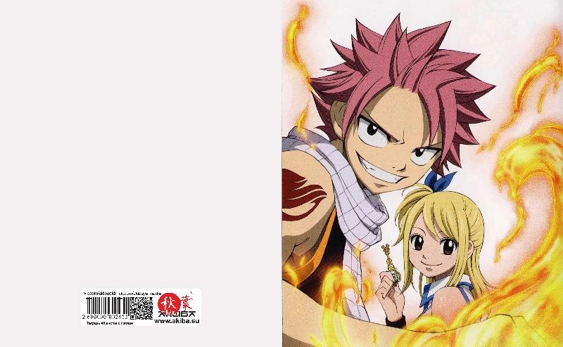 Тетрадь 48 листов в клетку Fairy Tail [T_FaT_005S]